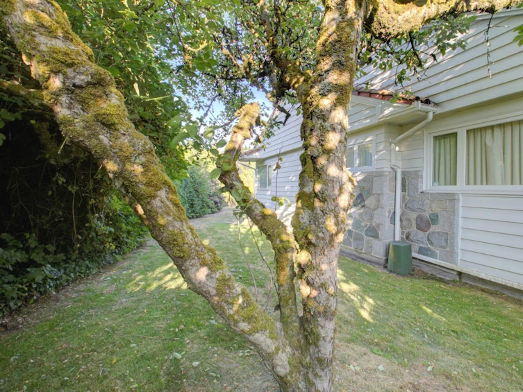 5275 Granville Street, Vancouver, BC, V6M 3B9 - 12