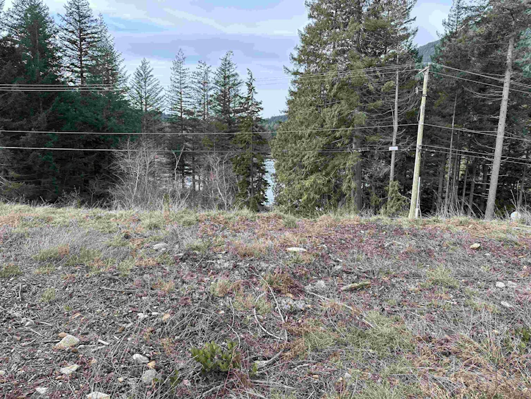 857 Forster Lane, Bowen Island, BC, V0N 1G2 - 4