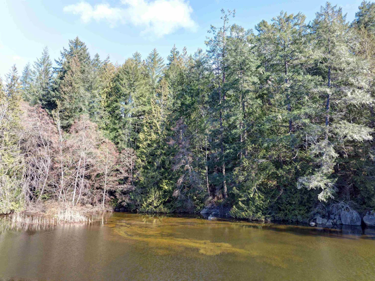 Lot 2 Riley Road, Halfmoon Bay, BC, V7Z 1B6 - 23