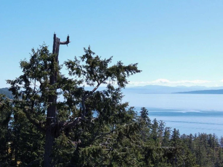 4210 Johnston Heights Drive, Pender Harbour Egmont, BC, V0N 1S1 - 39