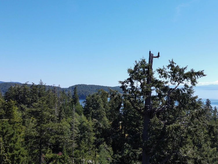 4210 Johnston Heights Drive, Pender Harbour Egmont, BC, V0N 1S1 - 6