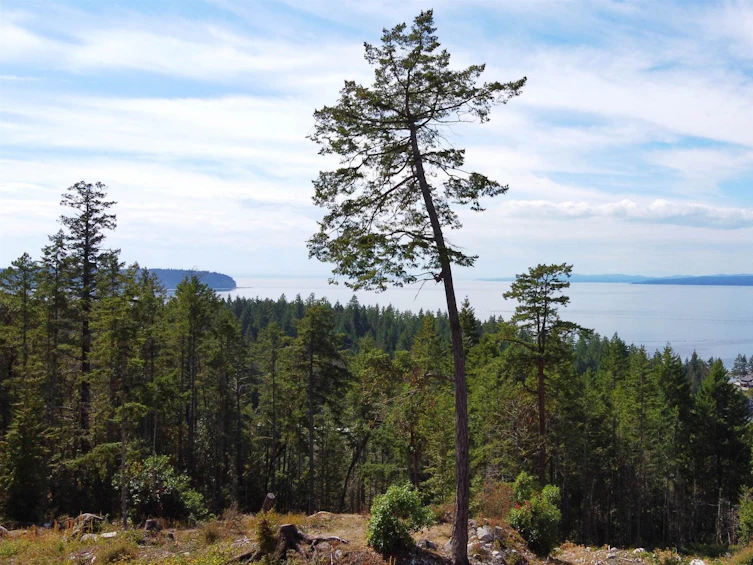 Lot-Lot 33 Wood Bay Ridge Road, Pender Harbour Egmont, BC, V0N 1Y2