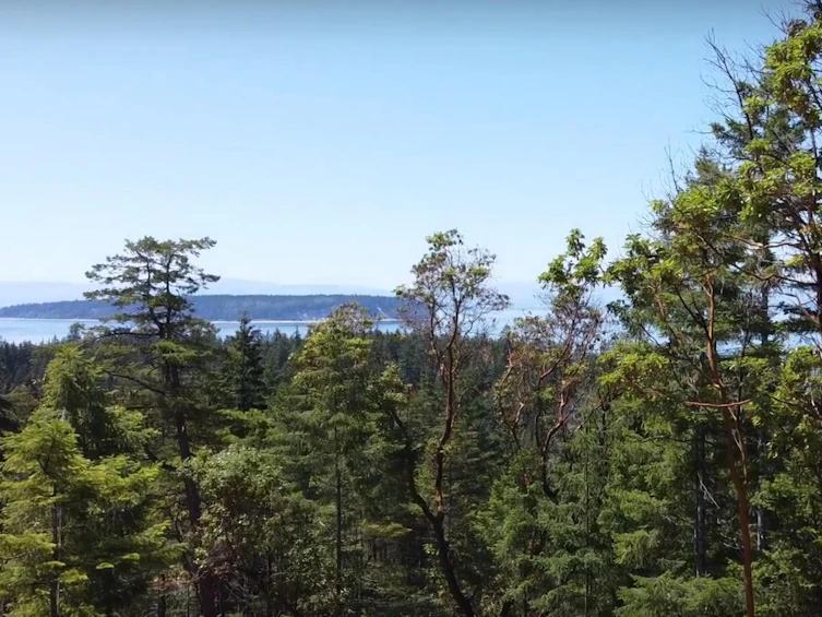 Lot-Lot 33 Wood Bay Ridge Road, Pender Harbour Egmont, BC, V0N 1Y2 - 4