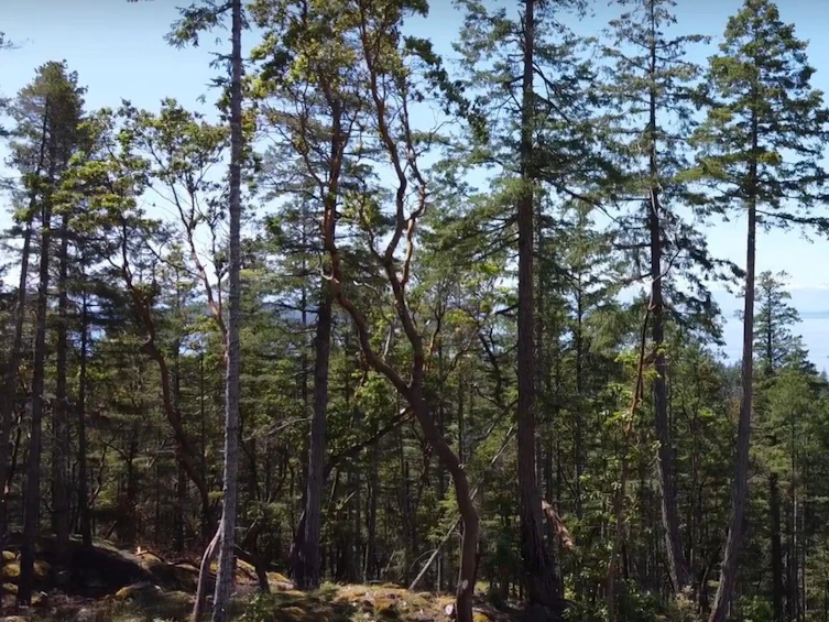 Lot-Lot 34 Wood Bay Ridge Road, Pender Harbour Egmont, BC, V0N 1Y2 - 3