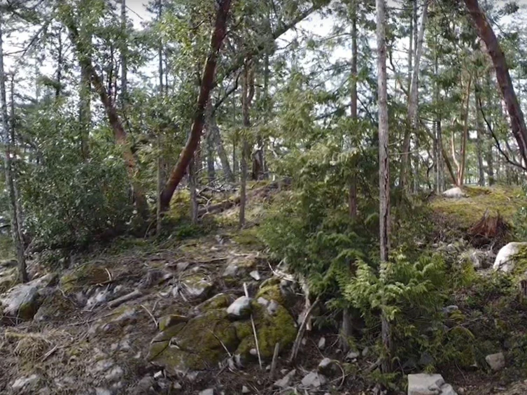 Lot-Lot 36 Wood Bay Ridge Road, Pender Harbour Egmont, BC, V0N 1Y2 - 2