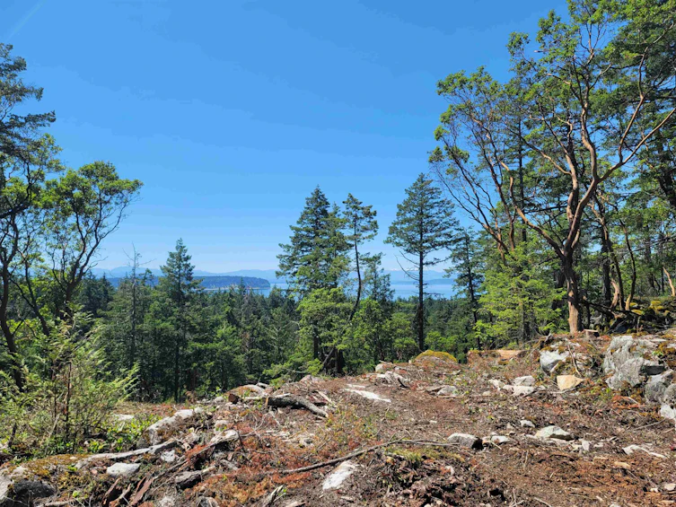 Lot-Lot 39 Wood Bay Ridge Road, Pender Harbour Egmont, BC, V0N 1Y2