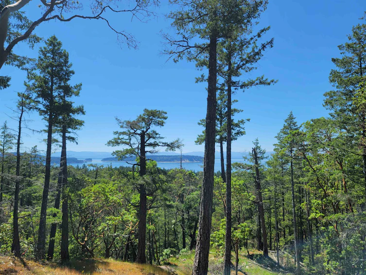 Lot-Lot 40 Wood Bay Ridge Road, Pender Harbour Egmont, BC, V0N 1Y2