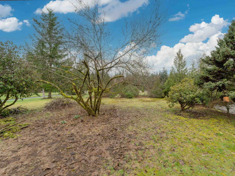25817 124 Avenue, Maple Ridge, BC, V4R 1B8 - 37