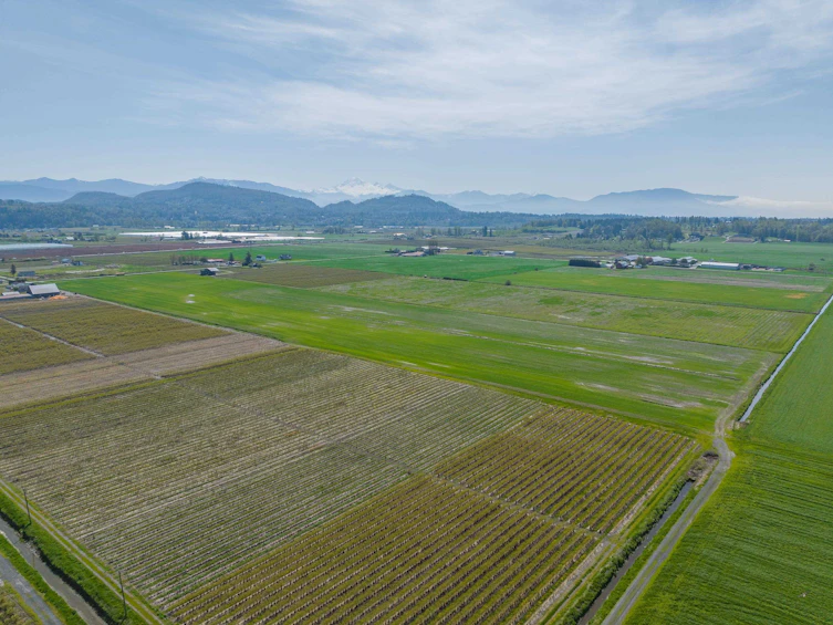 5157 Riverside Street, Abbotsford, BC, V4X 1X9 - 21