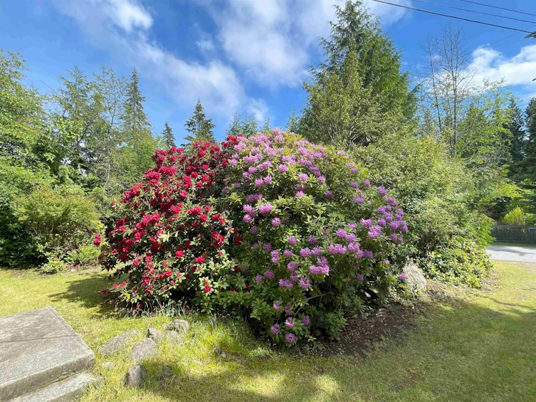 8044 Dogwood Drive, Halfmoon Bay, BC, V7Z 1A7 - 18
