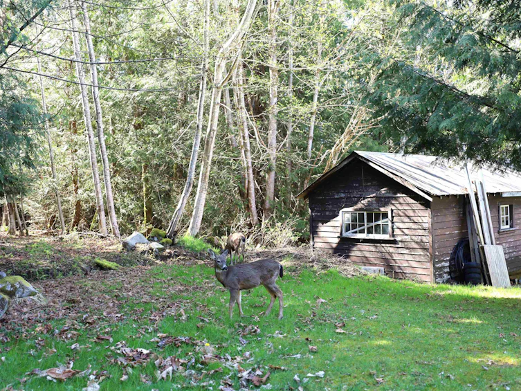 12815 Sunshine Coast Highway, Pender Harbour Egmont, BC, V0N 2H1 - 29