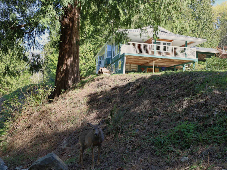 12815 Sunshine Coast Highway, Pender Harbour Egmont, BC, V0N 2H1 - 31