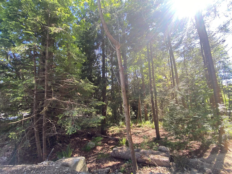 Lot B Grandview Road, Gibsons, BC, V0N 1V5 - 16