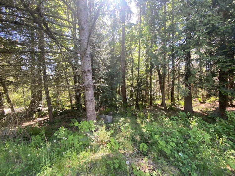 Lot B Grandview Road, Gibsons, BC, V0N 1V5 - 17