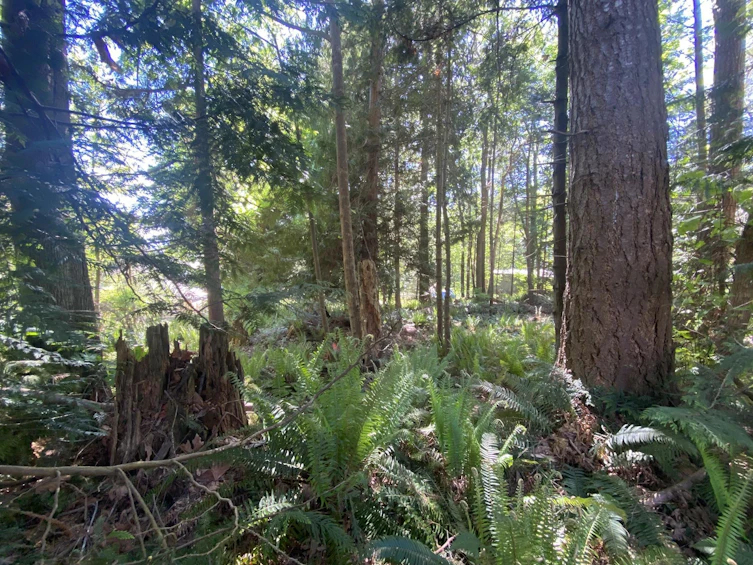 Lot B Grandview Road, Gibsons, BC, V0N 1V5 - 18