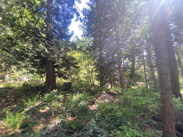 Lot B Grandview Road, Gibsons, BC, V0N 1V5 - 20