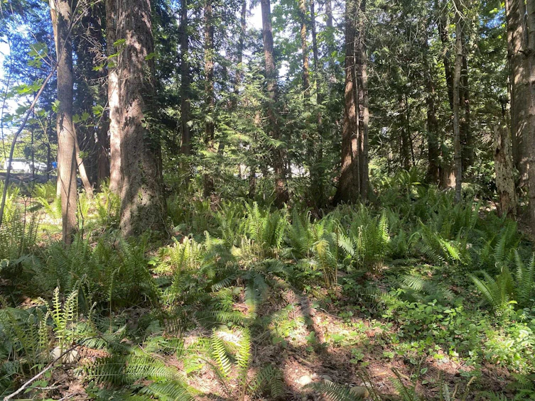 Lot B Grandview Road, Gibsons, BC, V0N 1V5 - 22