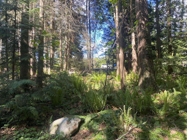 Lot B Grandview Road, Gibsons, BC, V0N 1V5 - 23