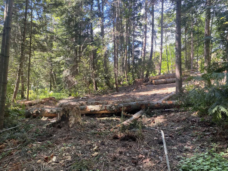 Lot B Grandview Road, Gibsons, BC, V0N 1V5 - 24