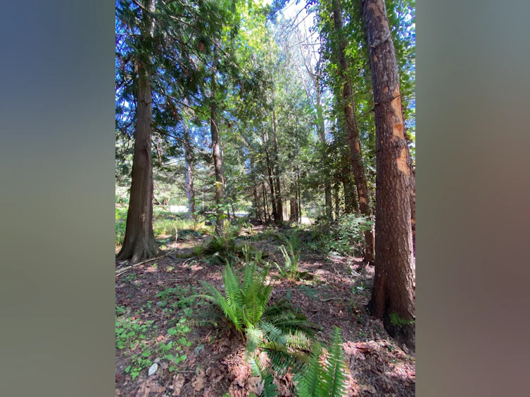 Lot B Grandview Road, Gibsons, BC, V0N 1V5 - 26
