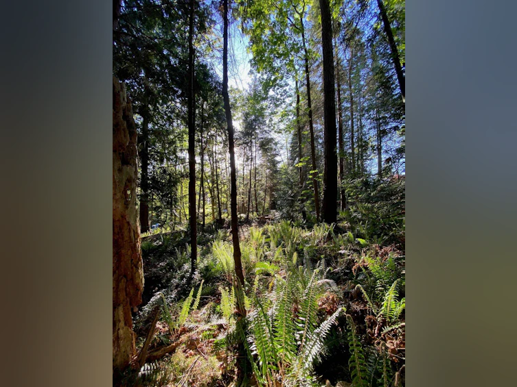 Lot B Grandview Road, Gibsons, BC, V0N 1V5 - 27