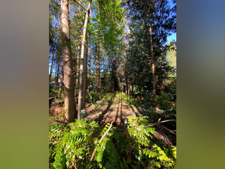 Lot B Grandview Road, Gibsons, BC, V0N 1V5 - 29