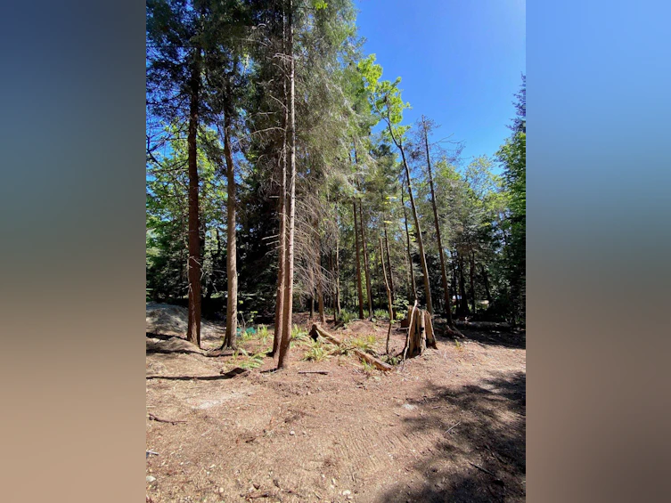 Lot B Grandview Road, Gibsons, BC, V0N 1V5 - 30