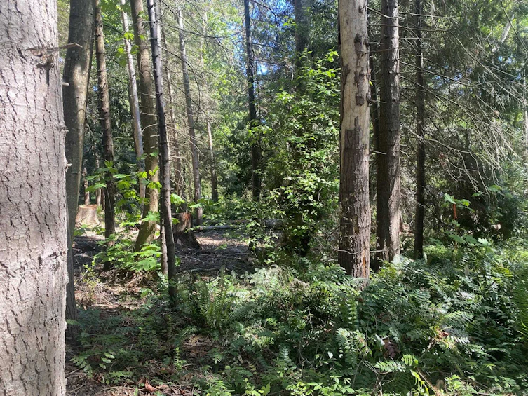 Lot B Grandview Road, Gibsons, BC, V0N 1V5 - 13