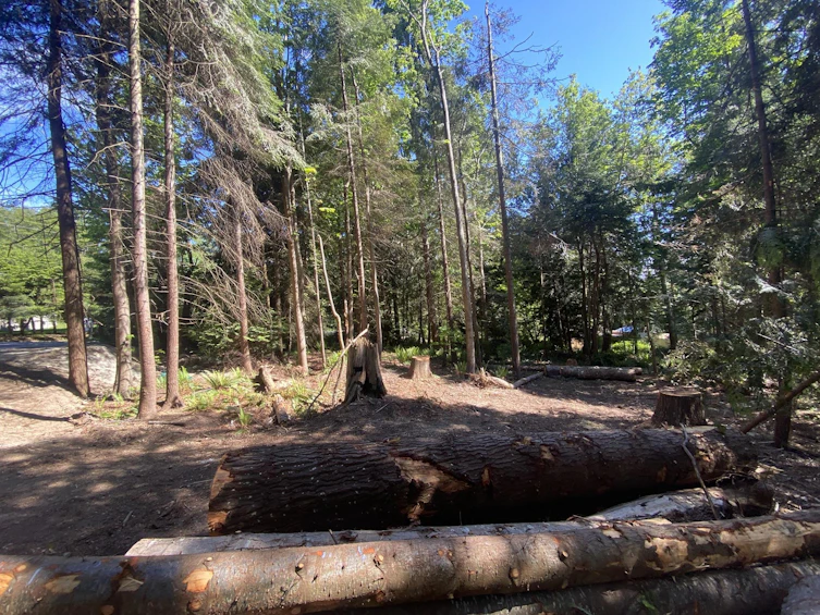 Lot B Grandview Road, Gibsons, BC, V0N 1V5 - 14