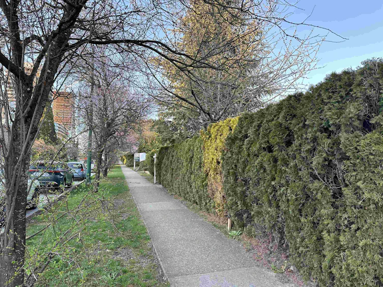 6298 Cambie Street, Vancouver, BC, V5Z 3B4 - 2