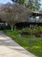 5202 Yacht Road
