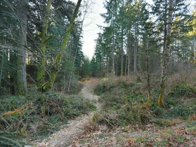 1481 Reed Road, Gibsons, BC, V0N 1V2 - 18