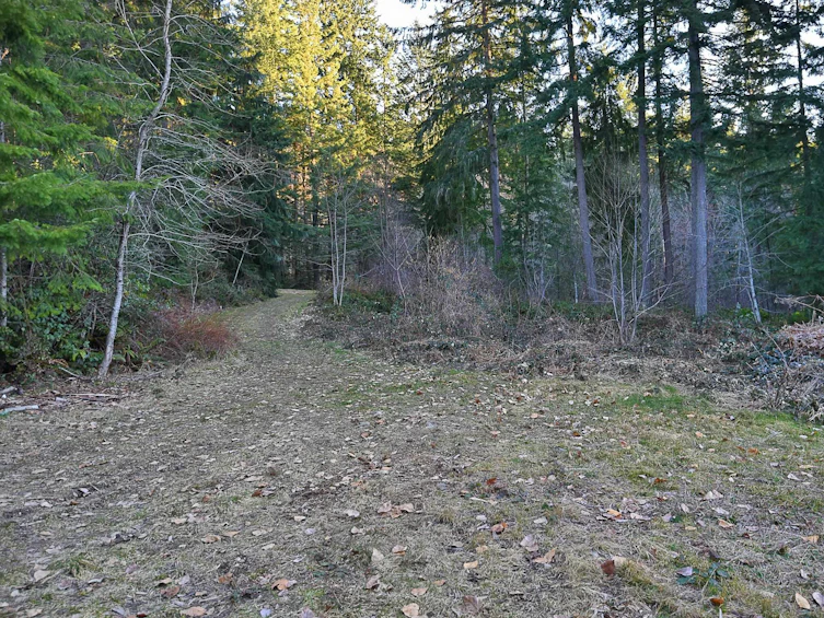 1481 Reed Road, Gibsons, BC, V0N 1V2 - 25