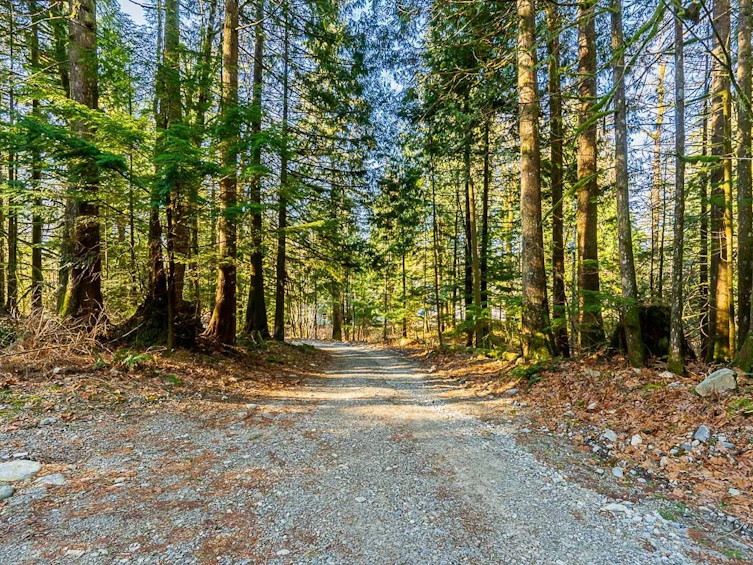 36351 Ridgeview Road, Mission, BC, V2V 4J1 - 4