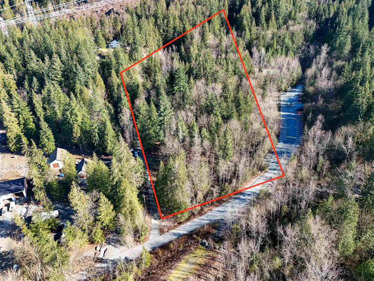 36351 Ridgeview Road, Mission, BC, V2V 4J1 - 39