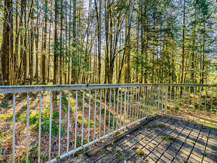 36351 Ridgeview Road, Mission, BC, V2V 4J1 - 16