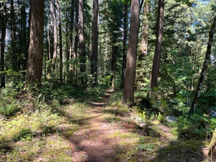 19-19743 Foster Road, Hope, BC, V0X 1L2 - 6
