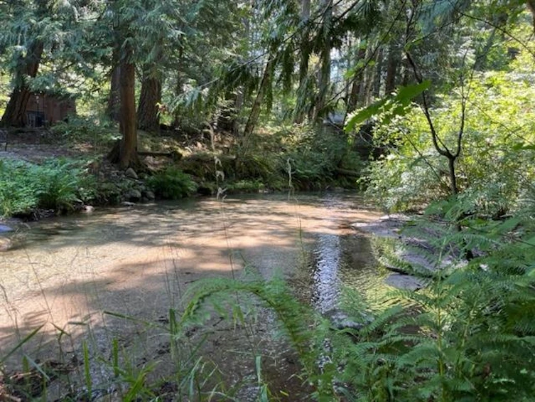 19-19743 Foster Road, Hope, BC, V0X 1L2 - 22