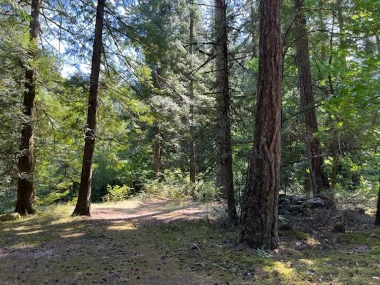 20-19743 Foster Road, Hope, BC, V0X 1L2 - 7