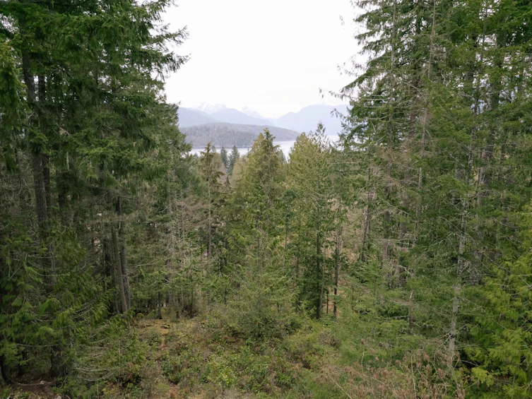 Lot 66 Greentree Road, Pender Harbour Egmont, BC, V0N 2H4 - 6
