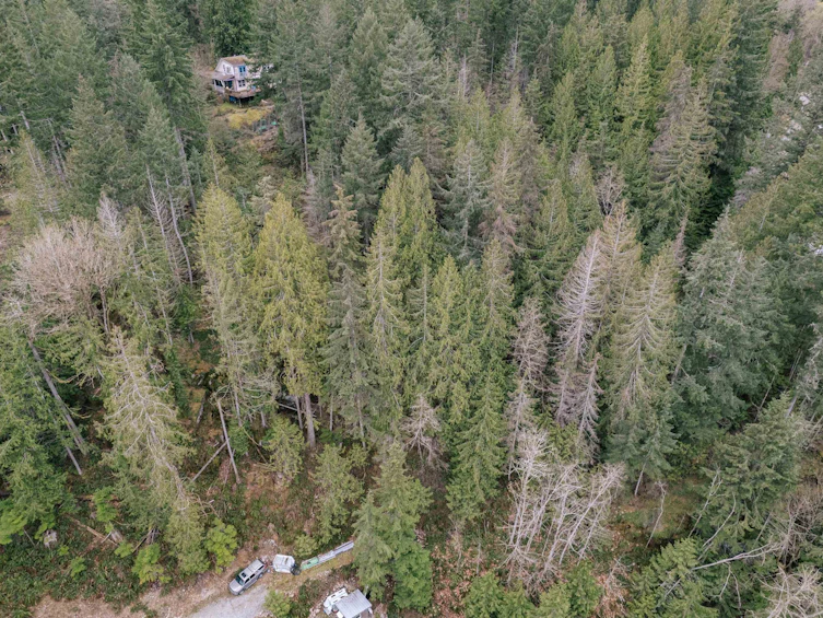 Lot 66 Greentree Road, Pender Harbour Egmont, BC, V0N 2H4 - 7