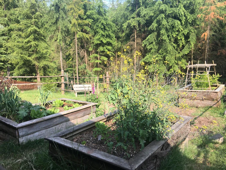 2236 Mountain Road, Gambier Island, BC, V0N 1V0 - 9