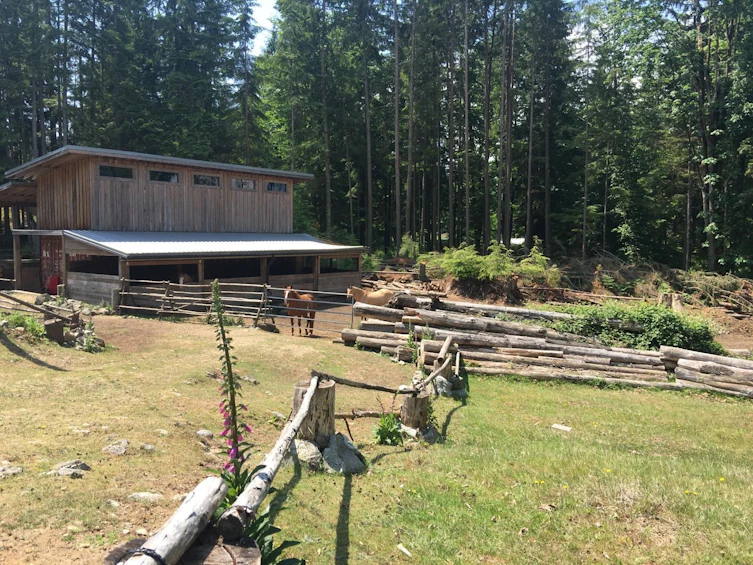 2236 Mountain Road, Gambier Island, BC, V0N 1V0 - 10