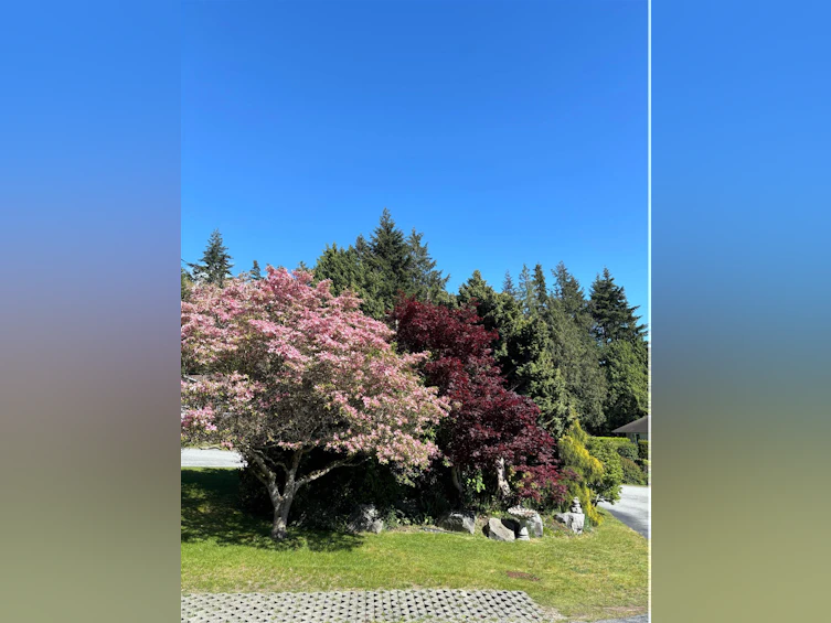1517 Islandview Drive, Gibsons, BC, V0N 1V5 - 2
