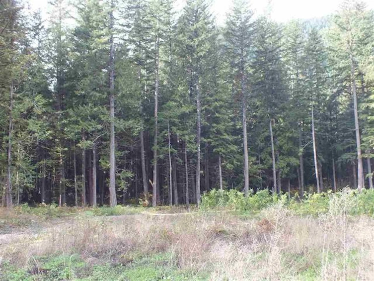 65457 Norton Road, Hope, BC, V0X 1L4 - 3