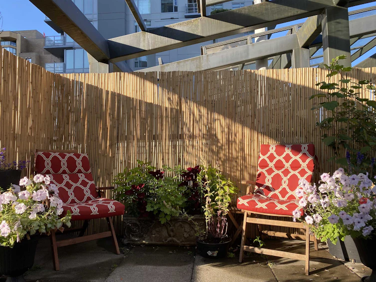202-1155 Homer Street, Vancouver, BC, V6B 5T5 - 22