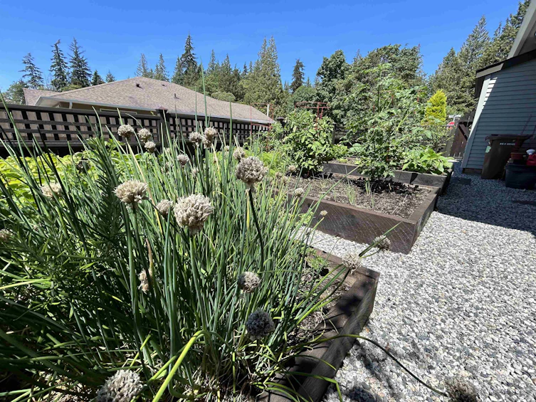 6319 Tower Road, Sechelt, BC, V7Z 0T7 - 25