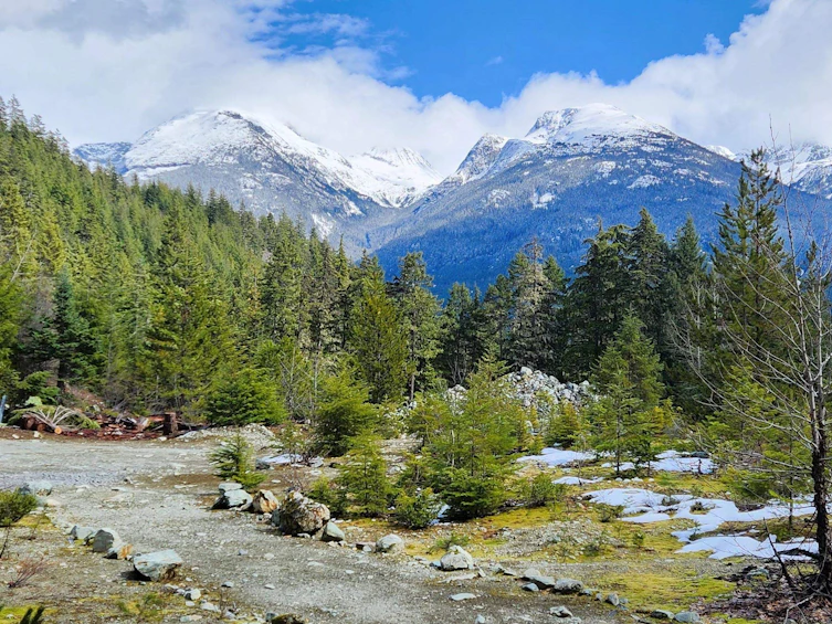 DL3363 Highway 99, Whistler, BC, V0N 1B0 - 2
