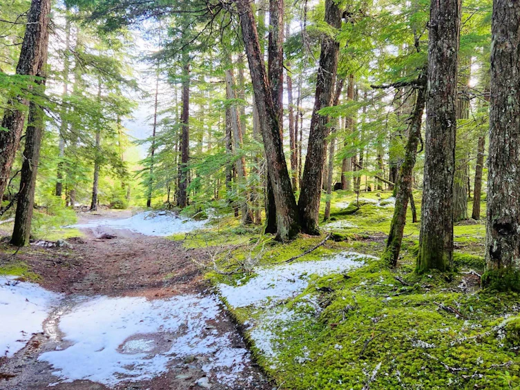 DL3363 Highway 99, Whistler, BC, V0N 1B0 - 3