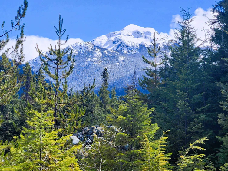 DL3363 Highway 99, Whistler, BC, V0N 1B0 - 10